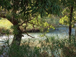  sabie river