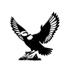 Obraz premium eagle in flight vector