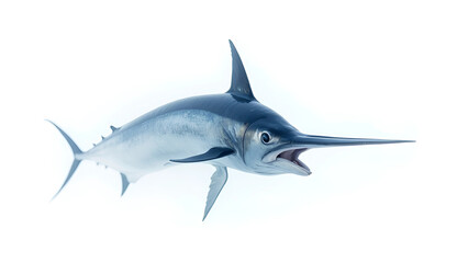 Obraz premium Great White Shark Isolated on White Background in Underwater Wildlife Illustration.