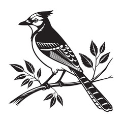 Bird sitting on a branch vector silhouette illustration