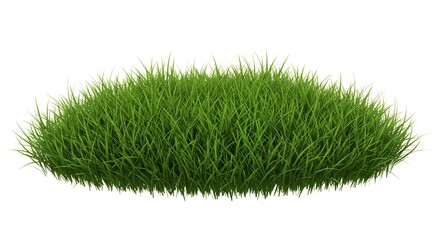 Lush Green Grass Clump Isolated on a White Background: 3D Render of Meadow Vegetation for Nature, Ecology, and Environmental Concepts