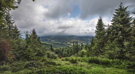 Scenic panoramic view from a mountain slope overlooking a lush forest and a vast valley under dramatic cloudy sky. The image captures the peaceful atmosphere of a remote, natural landscape with layers