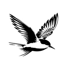 Fototapeta premium Black and white silhouette of a bird in flight isolated on white background