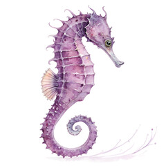Fototapeta premium Watercolor Purple seahorse sticker, isolated on transparent background