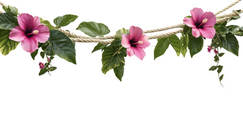 Floral garland with rope on transparent png background