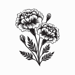 Bright Marigold Flowers with Green Leaves Isolated on White Background for Decoration