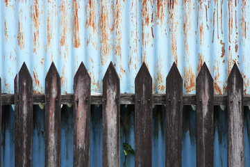 Weathered wooden picket fence against a rusty, peeling blue corrugated metal backdrop