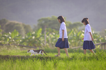 Two Thai schoolgirls walking barefoot on a rice field path, following a cat in the rural countryside of Thailand. This heartwarming moment captures the peaceful and authentic lifestyle of rural Asia.