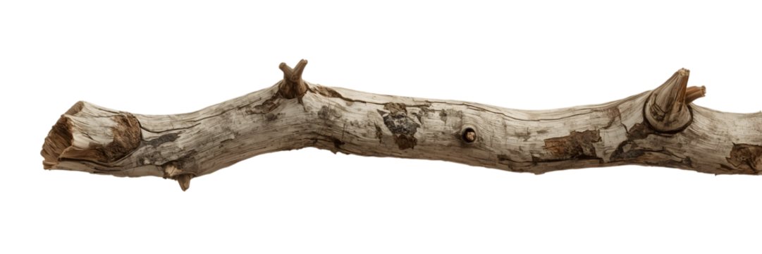 Weathered driftwood branch evokes natural beauty and rustic charm for creative projects