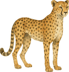 Vector watercolor realistic illustration of a cheetah