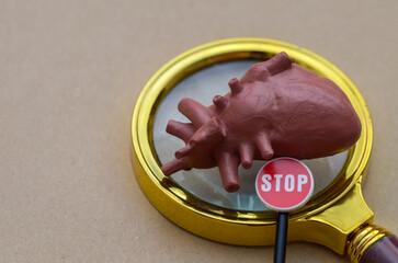 Human Heart Under Magnifying Glass with STOP Sign – Conceptual Image for Cardiac Risk Awareness and Health Warnings