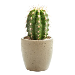 Small, vibrant cactus in a light gray speckled pot