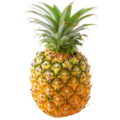 Fresh pineapple, vibrant yellow-gold rind, bright green crown