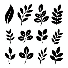 Collection of black leaf and branch silhouettes isolated on white background