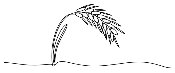 Black and white line drawing of a single wheat stalk grain agriculture © Mehedy