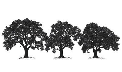 Highly detailed illustrations of various trees, leaves, grasses, and botanical elements, featuring realistic, minimalist, and abstract compositions on a white background.