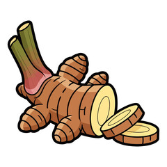 Freshly sliced ginger root or galangal rhizome in a colorful cartoon style, a key ingredient for spicy and healthy recipes.