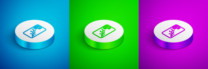 Isometric line Smartphone with broken screen icon isolated on blue, green and purple background. Shattered phone screen icon. White circle button. Vector