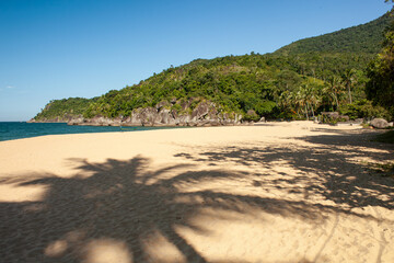 Palm trees shadows in a sunny beach