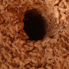 Close-up Natural Earth Hole