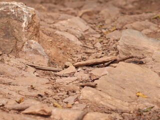 Textured Rock Formation Background