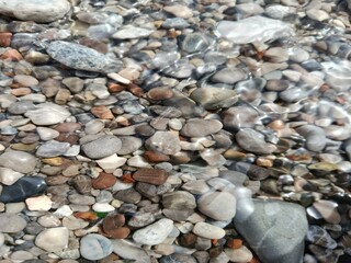 Smooth Colorful Pebbles Under Clear Water
Close-up view of colorful pebbles under transparent sea water on the Adriatic coast, creating a natural texture and serene background.
