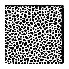 Minimalist abstract black and white pattern resembling organic cells or a network with irregular shapes and textures vector