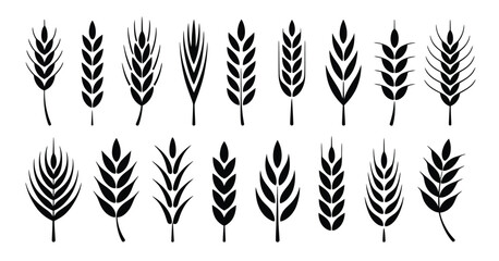 Black wheat stalks collection grain agriculture.eps