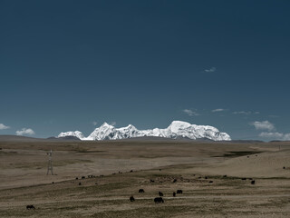 Mount Kangchenjunga Under The Blue