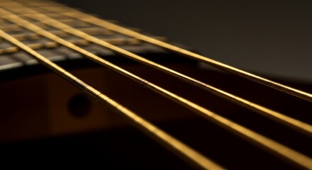 Close Up of Guitar Strings on Acoustic Guitar in Soft Lighting