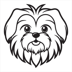 Shih Tzu Sweetness: Capturing the Viral Allure of the 