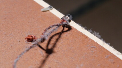 埃が付着した絵画のフレームの裏側