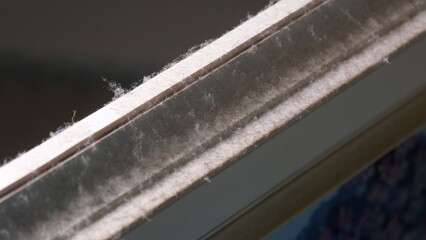 埃が付着した絵画のフレーム