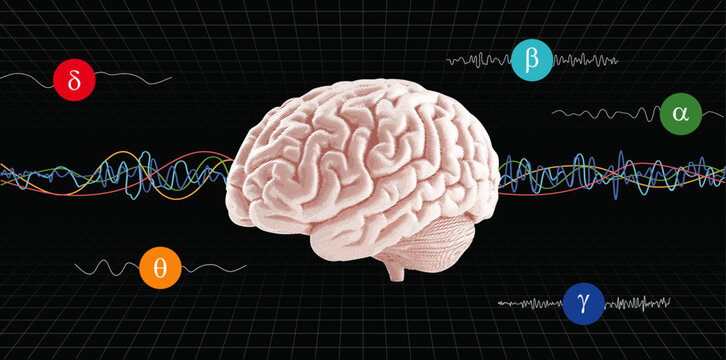 Different brainwave frequencies, human brain waves patterns.