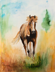 A horse running through the tall grass in a field