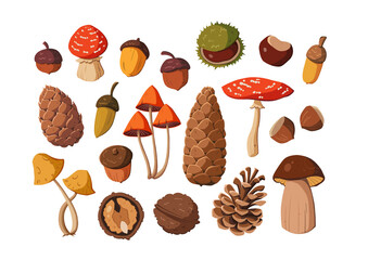 Hand-Drawn Fall Forest Collection | Woodland Elements