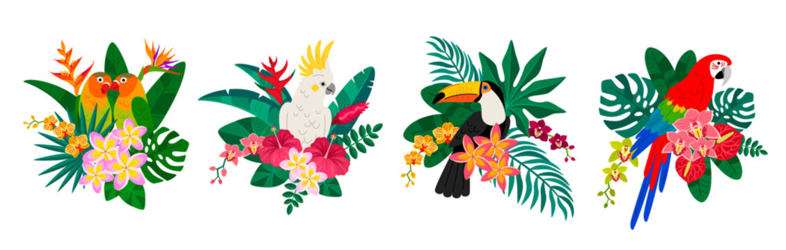 Parrots sitting in tropical leaves of palm tree. Vector illustration. Macaw bird, hawaiian exotic toucan, cockatoo. Orchid, hibiscus plumeria flowers. Summer beach poster, Brazil vacation banner flyer