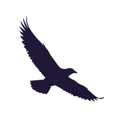 Obraz premium Eagle flying silhouette isolated on white background, symbolizing freedom, power, and the spirit of the wild in a minimalist and impactful design