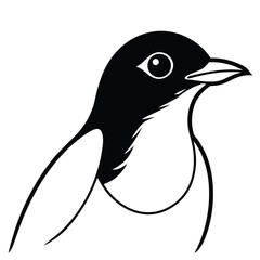 penguin on a white background