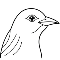 vector illustration of a bird