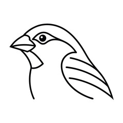 vector illustration of a bird