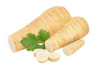 fresh parsnip with parsley on transparent background
