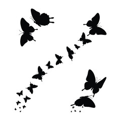 modern detailed professional high quality Black Silhouettes of Butterflies in Flight . flat vector 
