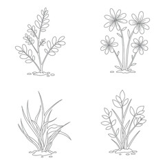 professional high quality Line Art Illustrations of Various Flowers and Plants . flat vector 