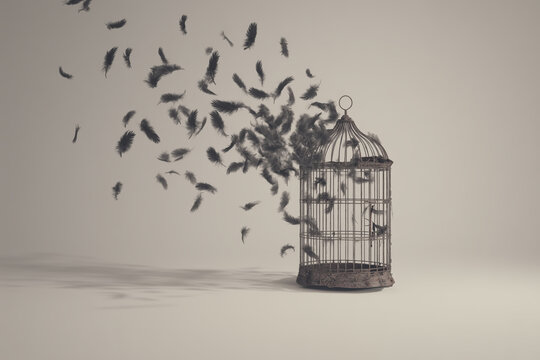 Feathers escape a vintage birdcage in a symbolic representation of freedom and liberation in an artistic setting