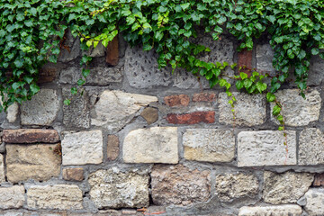old brick stone wall with ivy
