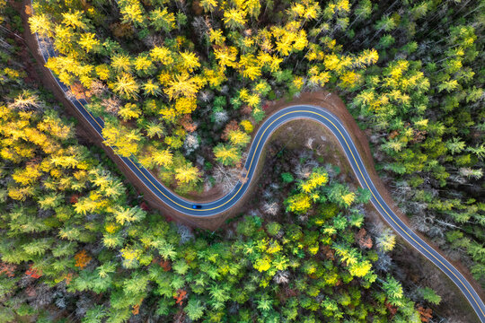 Car driving along mountain road surrounded by colorful autumn trees in Tennessee. Scenic road trip through the Appalachians in fall season