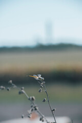 Obraz premium Raw Structures of Industrial Buildings