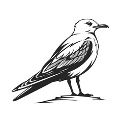 vector illustration of a bird