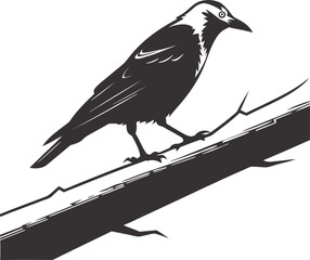 a-silhouette-vector-like-image-of-a-bird--the-bird6.eps